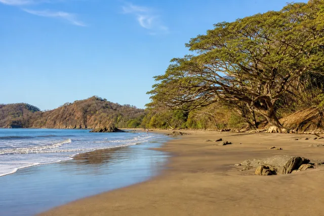 Foto ilustrativa de Guanacaste